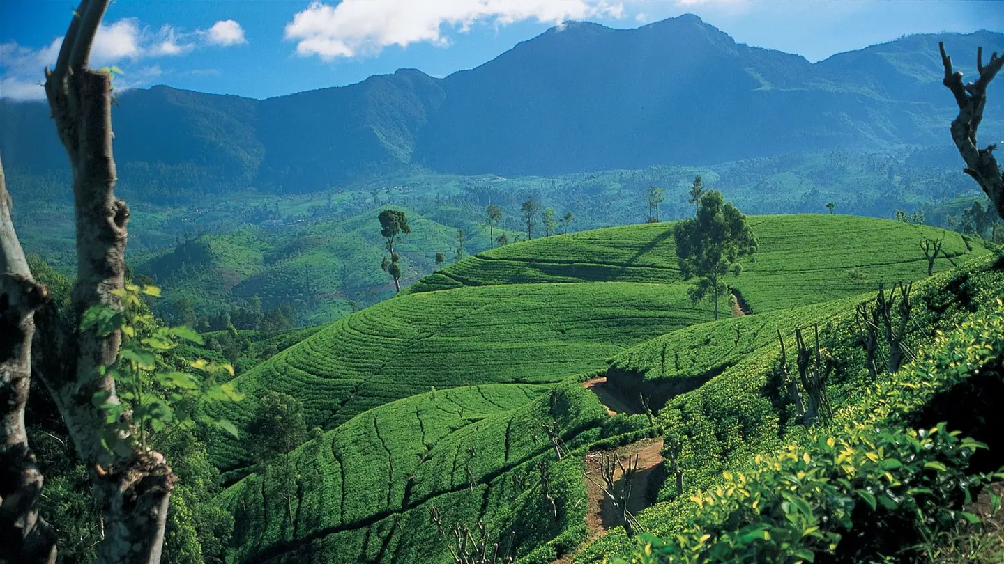 Sri Lanka Tour Scenery