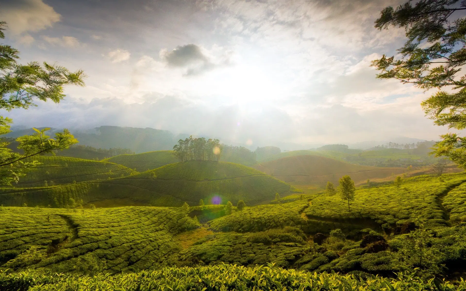 Sri Lanka Tour Scenery
