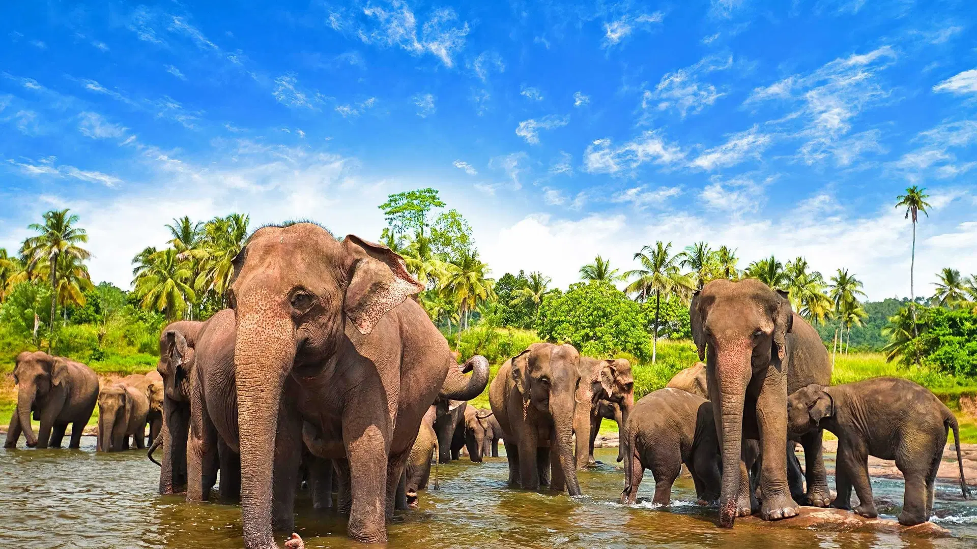 Sri Lanka Tour Scenery